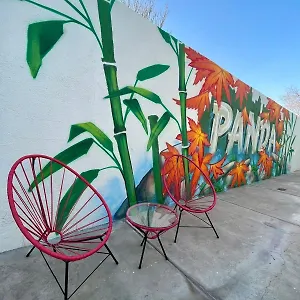  Auberge de jeunesse Panda